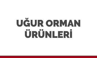 Çorum Logo Bayi